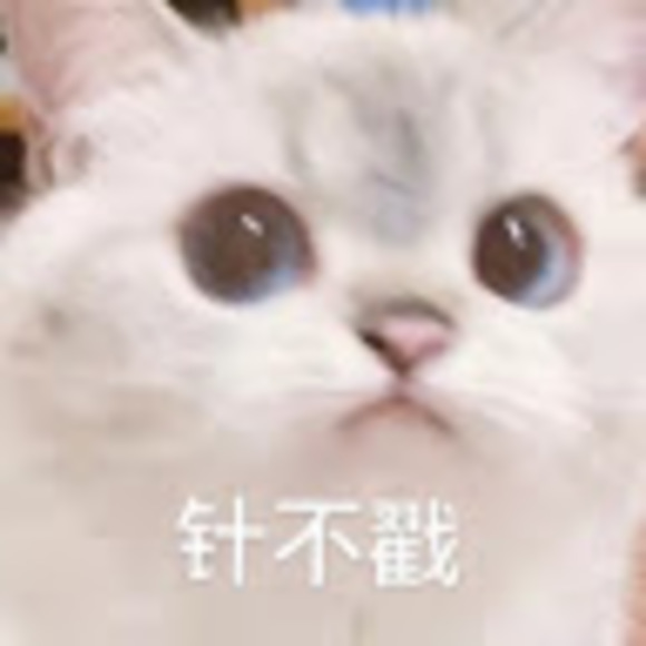 diwen_shi